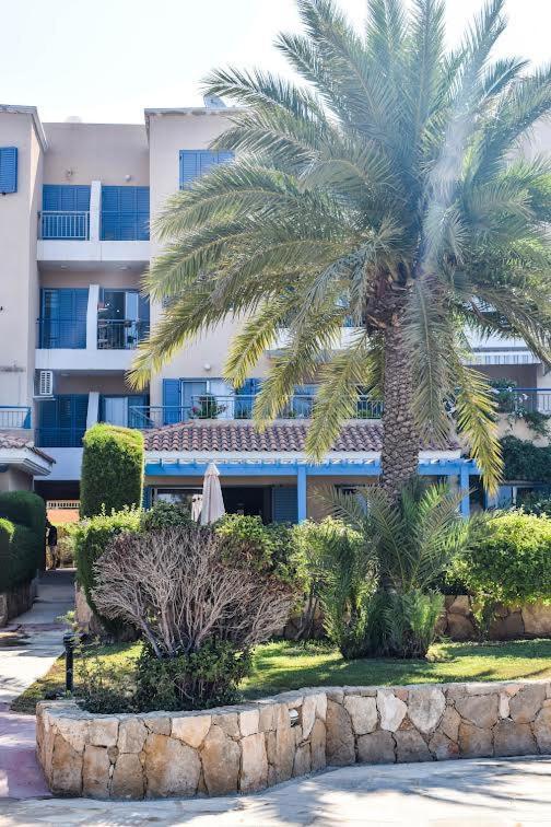 Timeless Cyprus Leilighet Paphos Eksteriør bilde